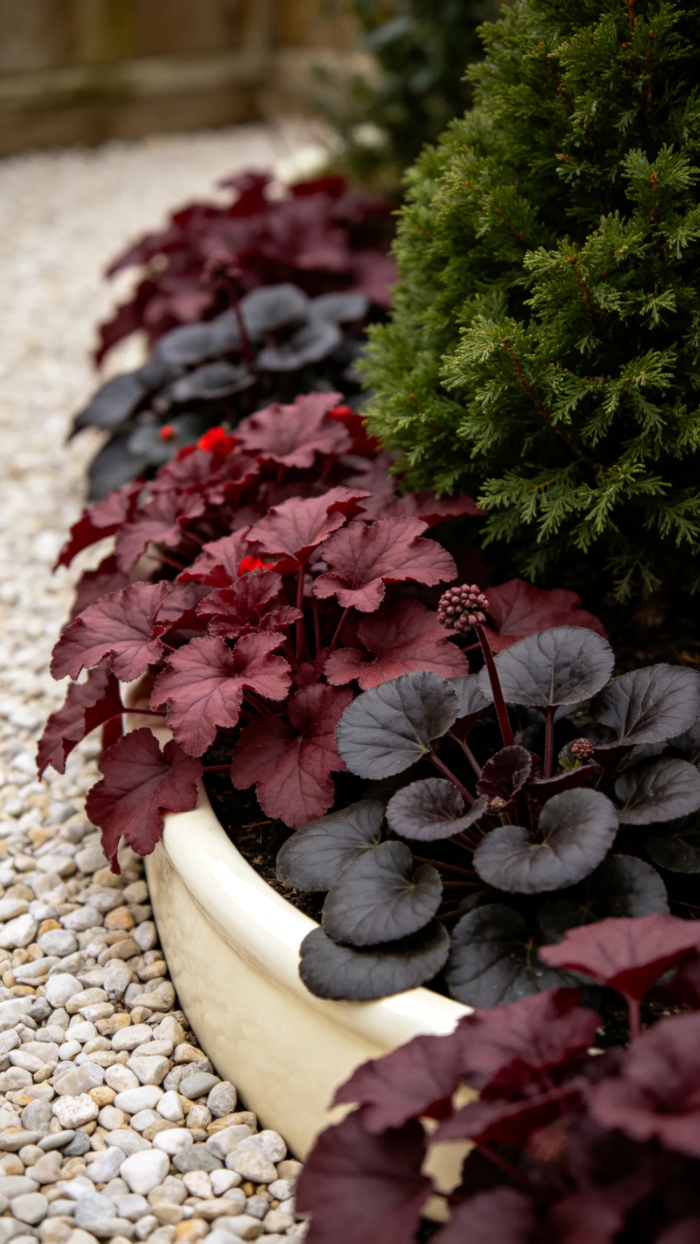 22. Use Burgundy Foliage for Deep Winter Color